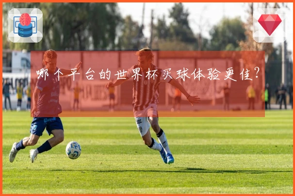 哪个平台的世界杯买球体验更佳？