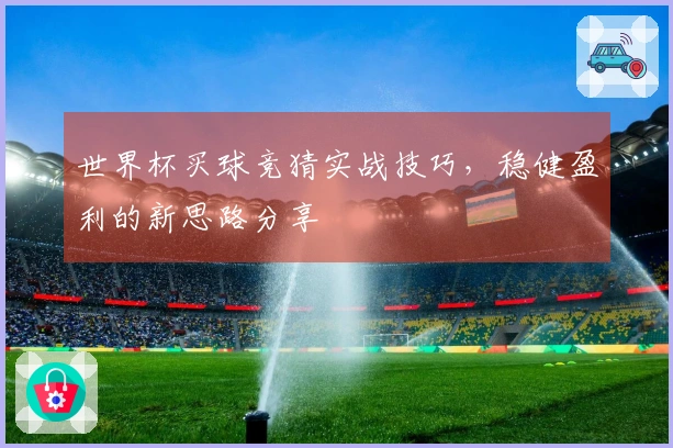 世界杯买球竞猜实战技巧，稳健盈利的新思路分享