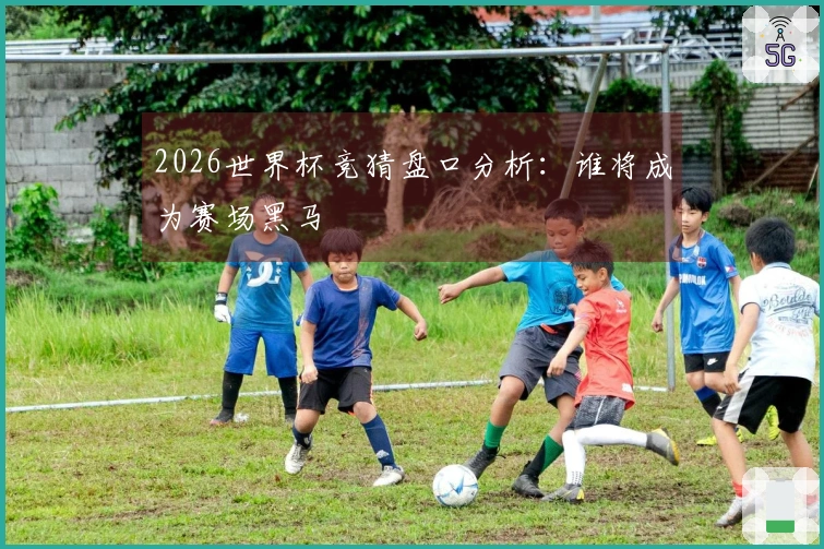 2026世界杯竞猜盘口分析：谁将成为赛场黑马