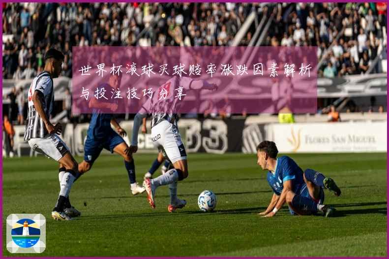 世界杯滚球买球赔率涨跌因素解析与投注技巧分享