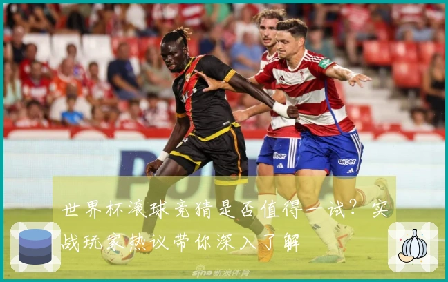 世界杯滚球竞猜是否值得一试？实战玩家热议带你深入了解