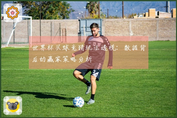 世界杯买球竞猜玩法透视:数据背后的赢家策略分析