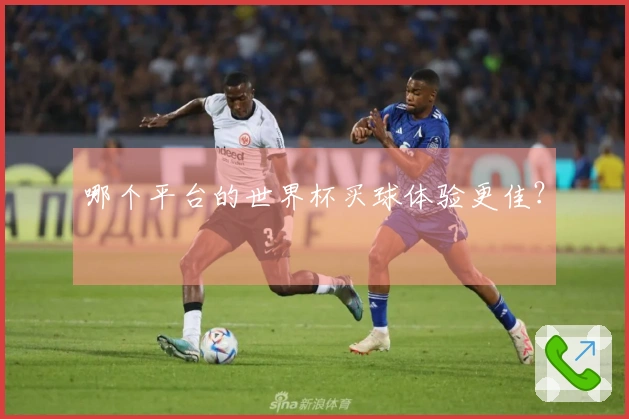 哪个平台的世界杯买球体验更佳?