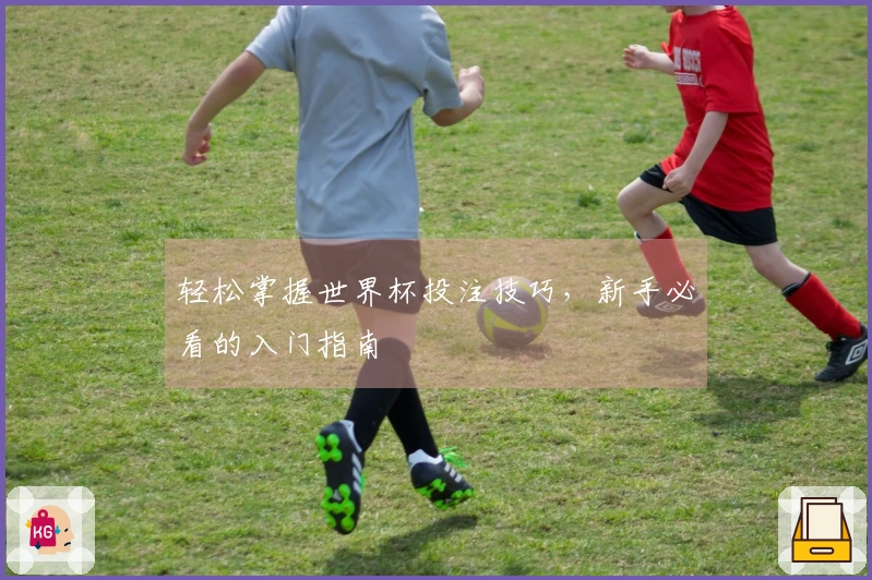 轻松掌握世界杯投注技巧，新手必看的入门指南