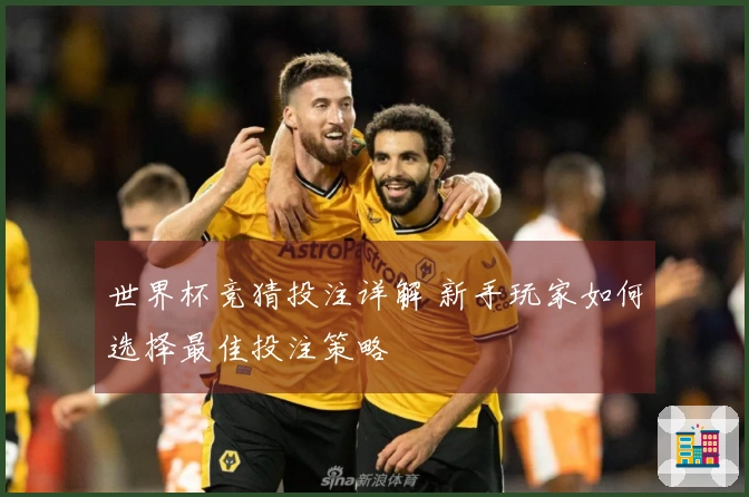 世界杯竞猜投注详解 新手玩家如何选择最佳投注策略