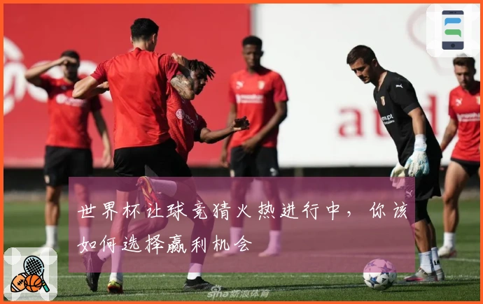 世界杯让球竞猜火热进行中，你该如何选择赢利机会