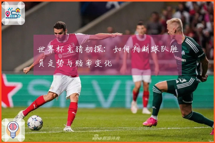 世界杯竞猜初探：如何判断球队胜负走势与赔率变化