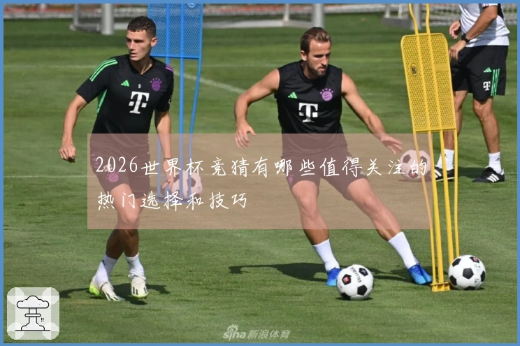 2026世界杯竞猜有哪些值得关注的热门选择和技巧