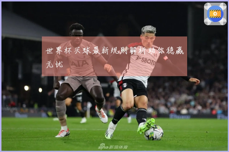 世界杯买球最新规则解析助你稳赢无忧