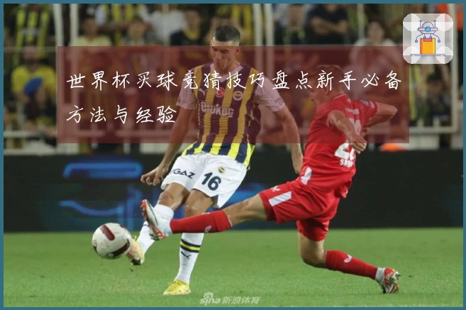 世界杯买球竞猜技巧盘点新手必备方法与经验