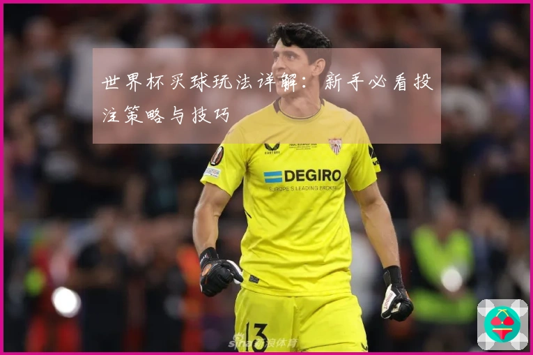 世界杯买球玩法详解：新手必看投注策略与技巧