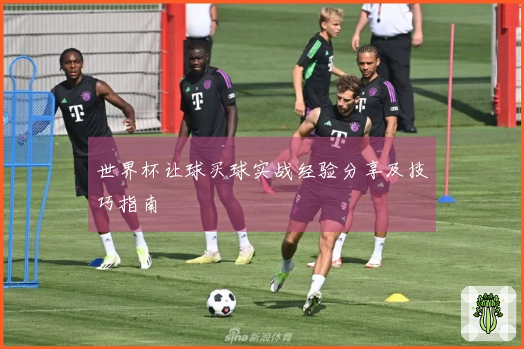 世界杯让球买球实战经验分享及技巧指南