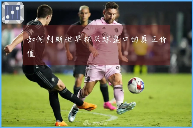 如何判断世界杯买球盘口的真正价值