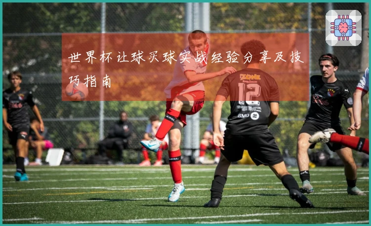 世界杯让球买球实战经验分享及技巧指南