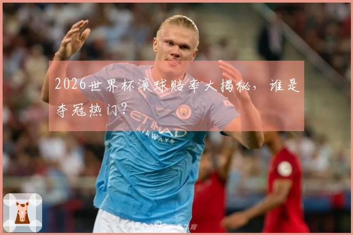 2026世界杯滚球赔率大揭秘，谁是夺冠热门？