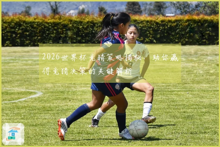 2026世界杯竞猜策略揭秘，助你赢得竞猜决策的关键解析