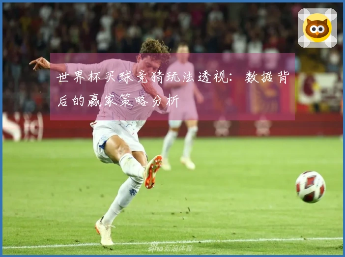 世界杯买球竞猜玩法透视：数据背后的赢家策略分析