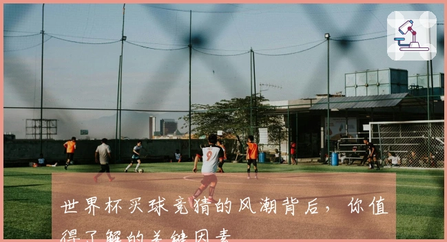 世界杯买球竞猜的风潮背后，你值得了解的关键因素